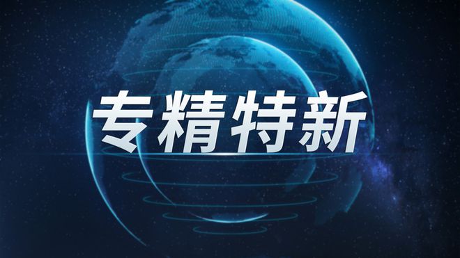 专精特新